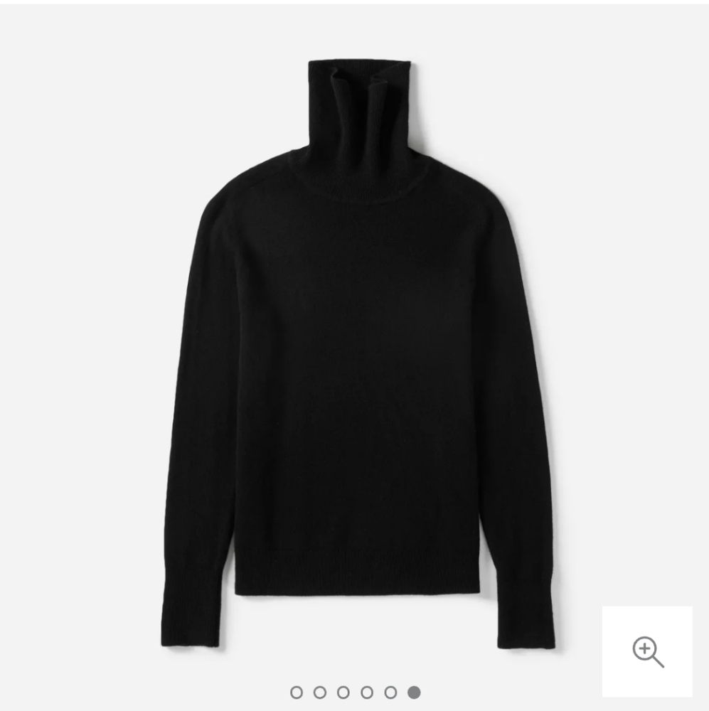 Everlane cashmere turtleneck
